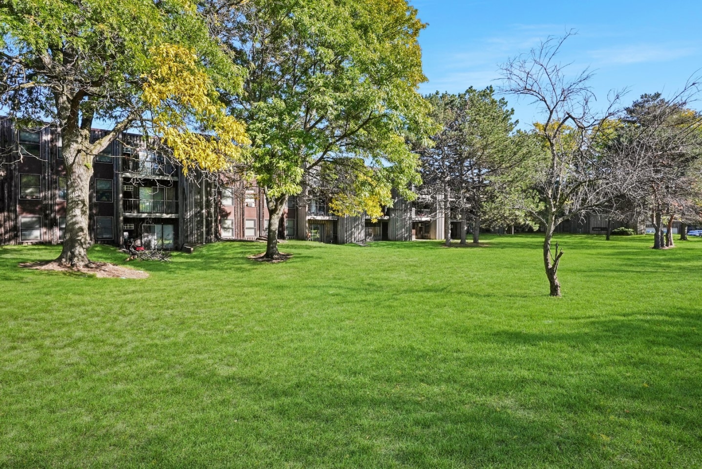 Lynwood Pointe Apartments Image 8