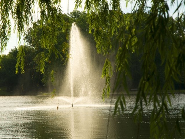 Woodland Creek Luxury Apartments Image 18