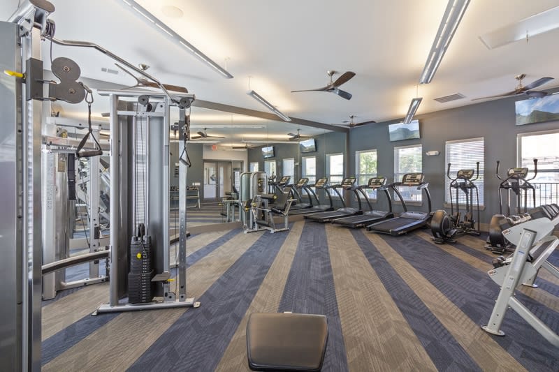 McKinney Pointe Image 14