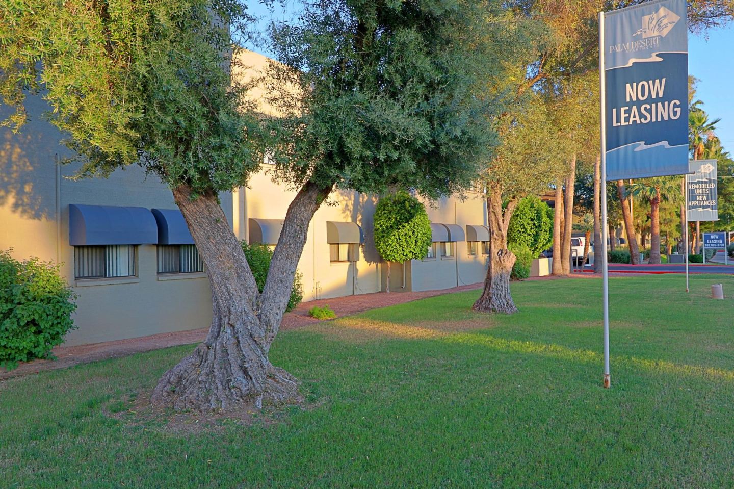 Palm Desert Image 26