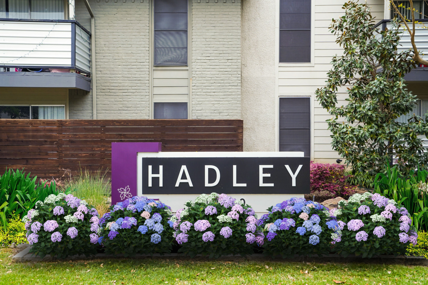 Hadley at Bellmar Image 11