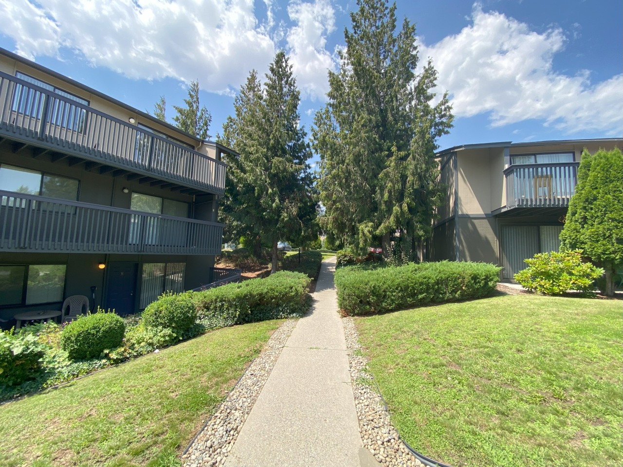 Cedarwood Image 32