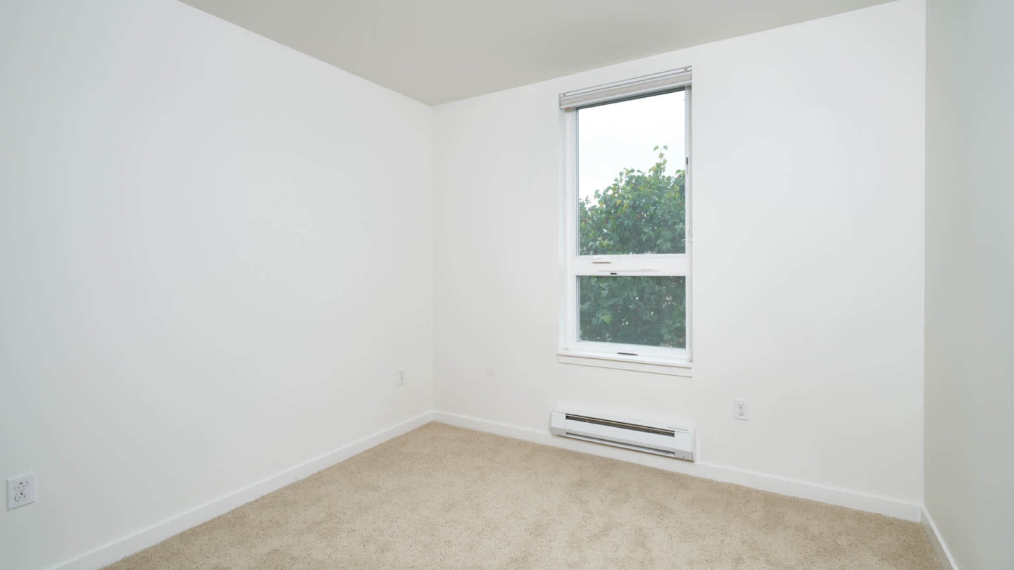 Springline Image 49