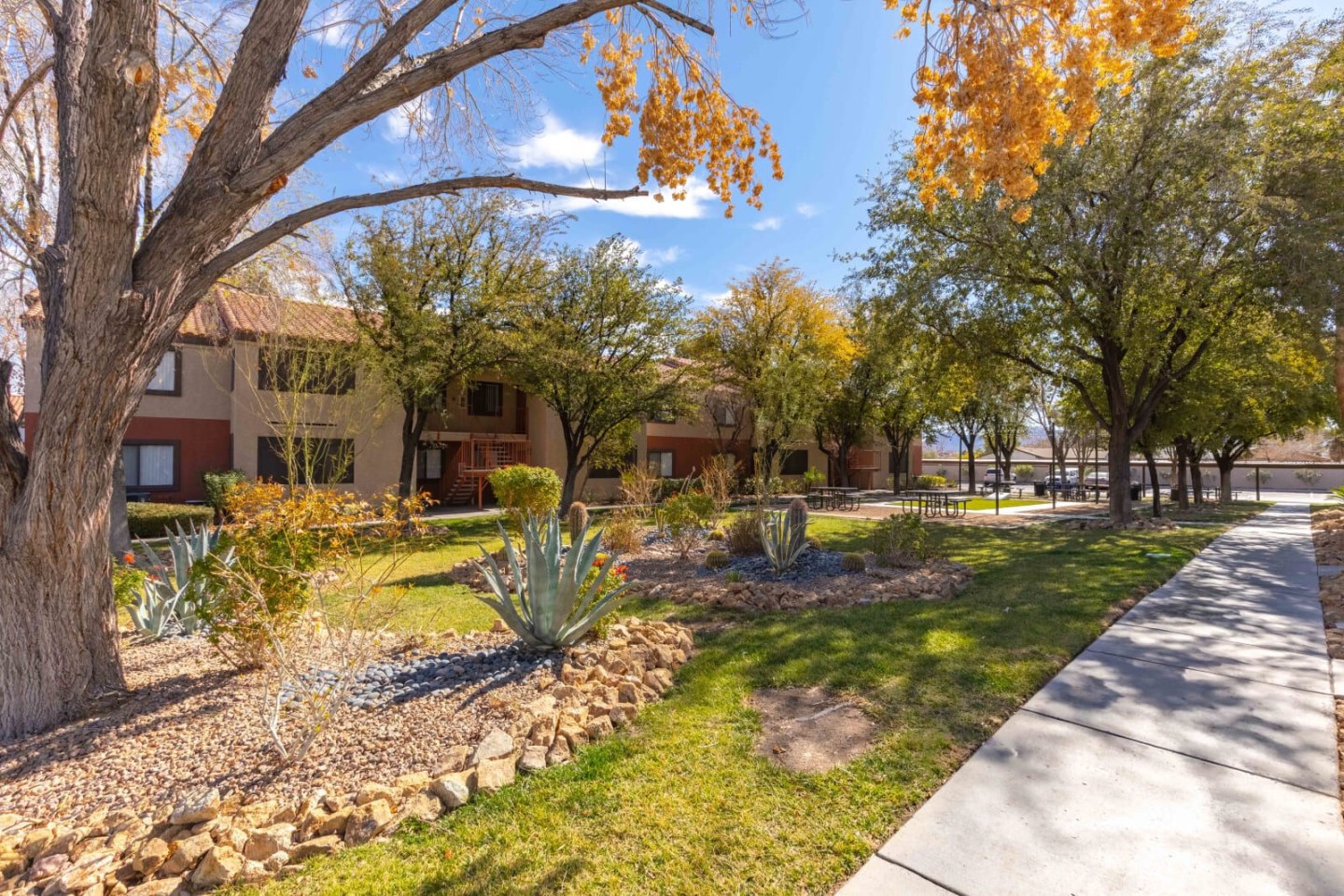 Vue 5325 Image 11