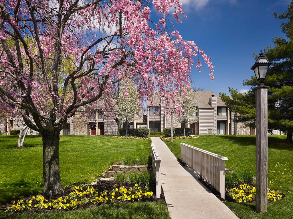 Blue Bell Villas Image 1