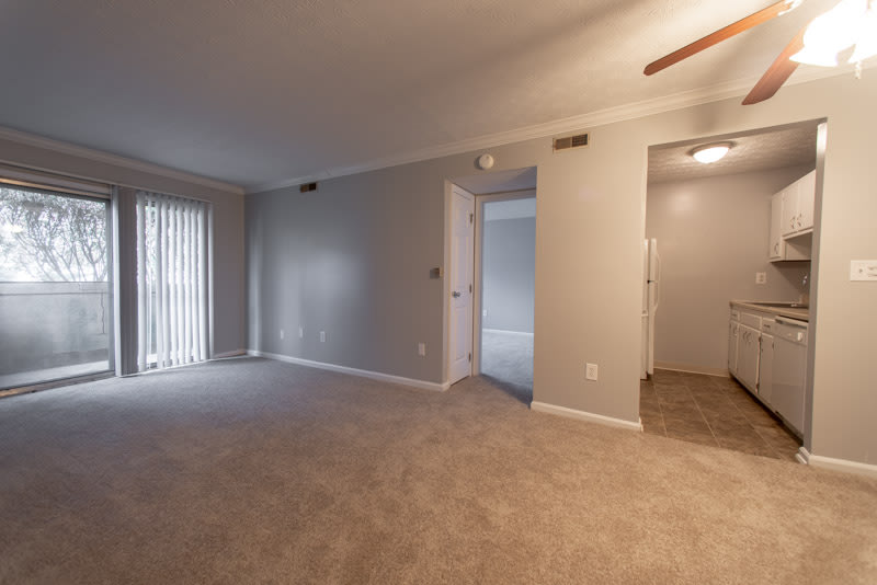 Tarpis Woods Image 3