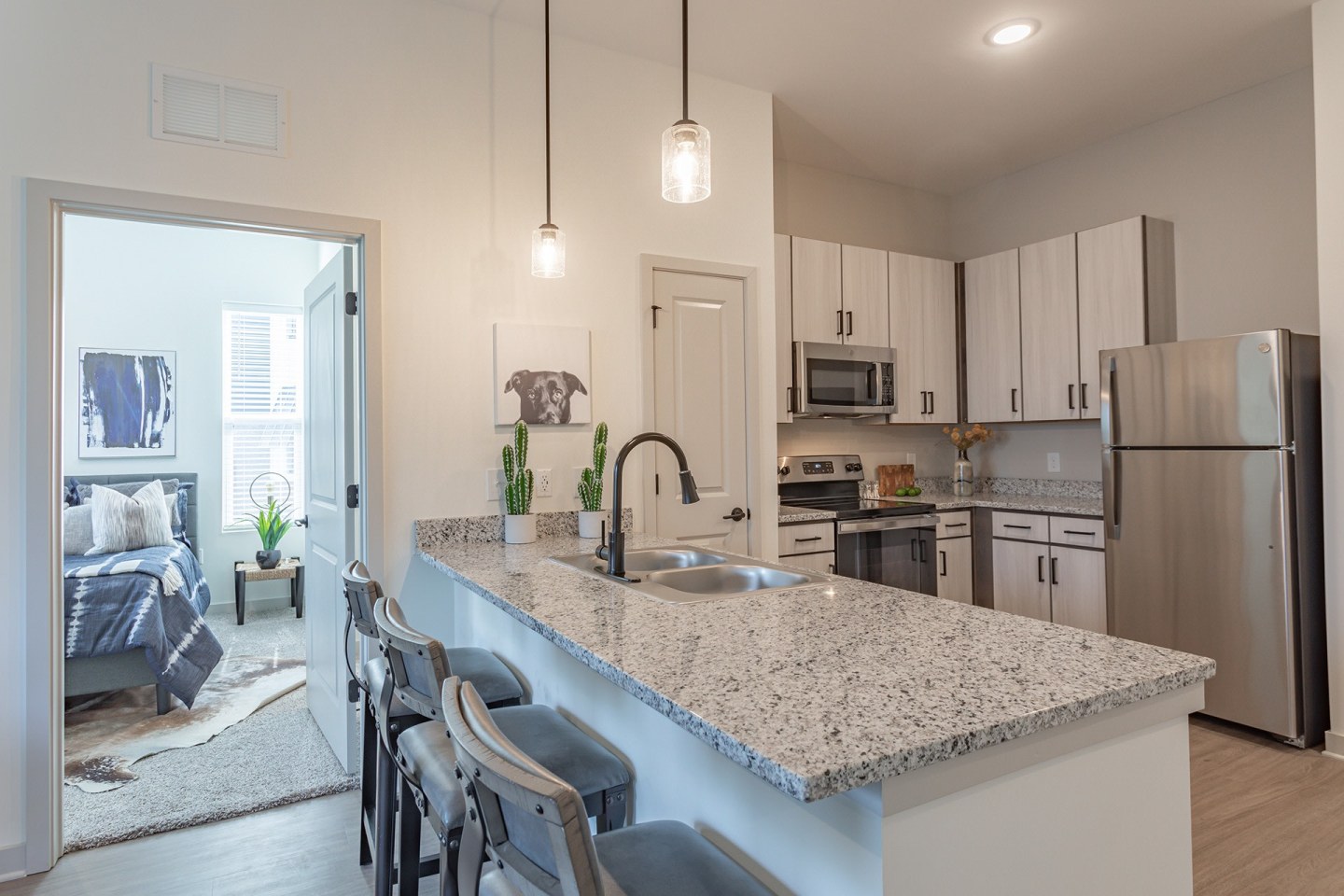 6228 Music City Apartments Image 5