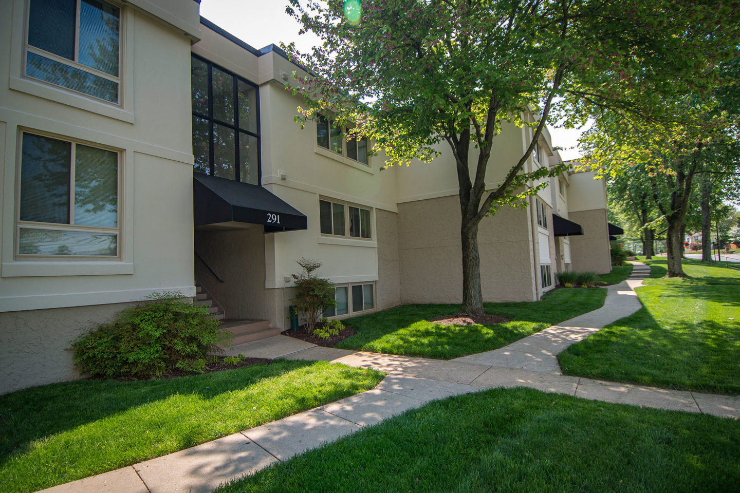 Ashley Apartments Image 5