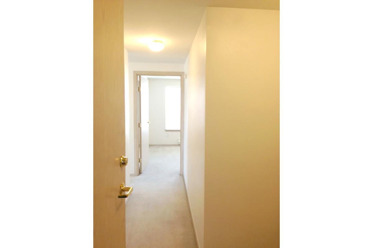 Clearwater and Star Apartments Image 102