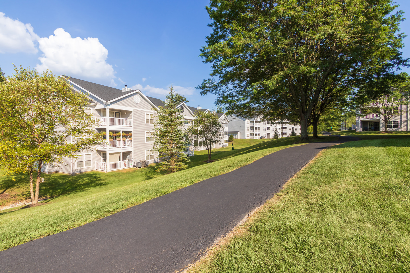 The Trails of Saddlebrook Image 84