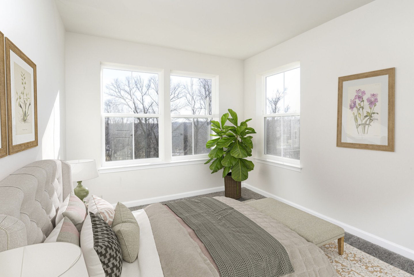 The Collection at Scotland Heights Image 12
