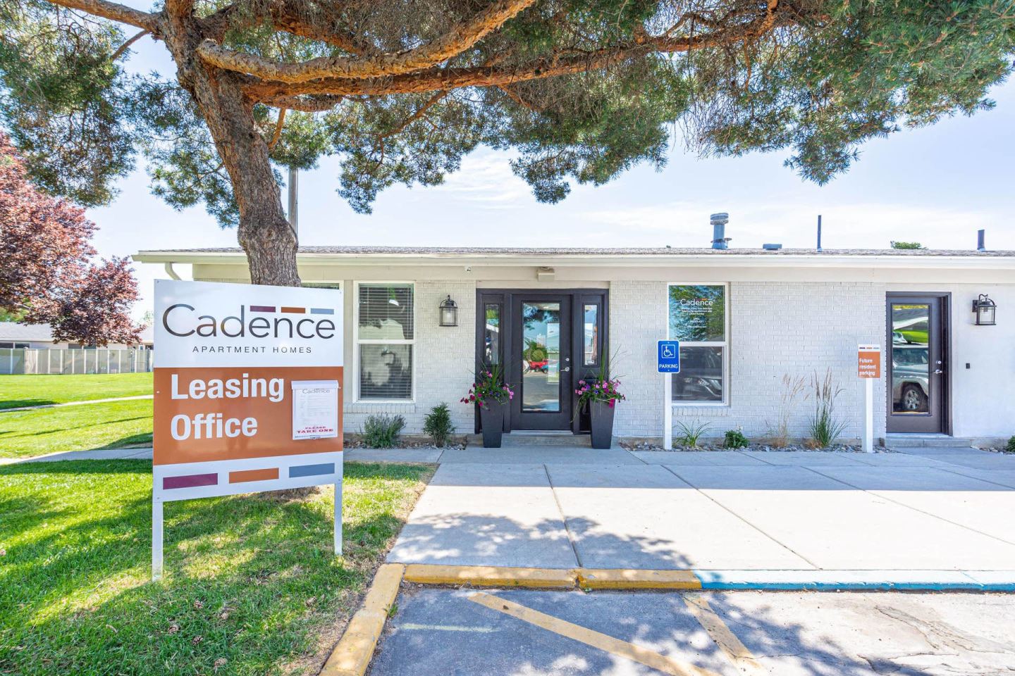 Cadence Image 16