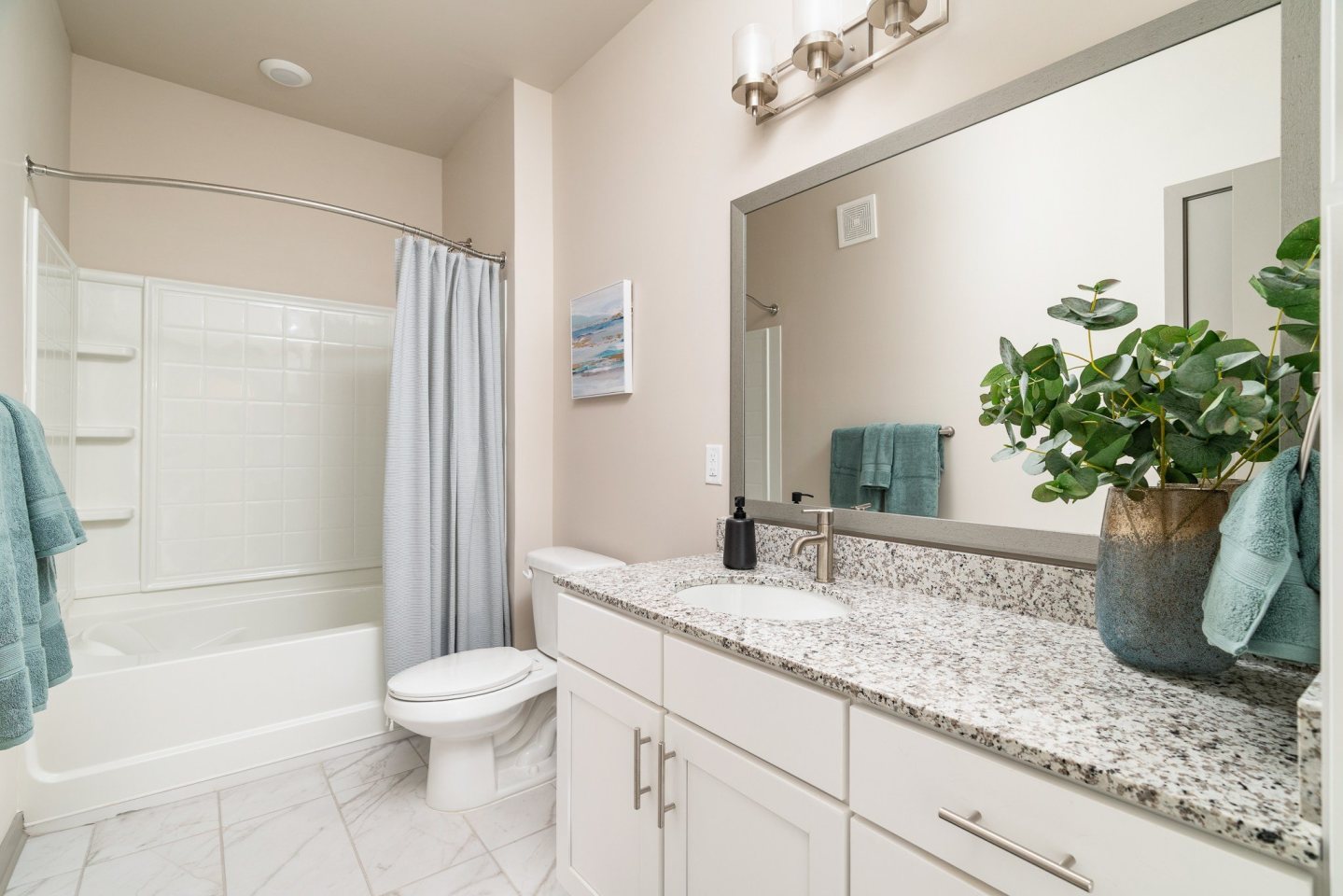 Vital at Springbrook Apartments Image 8