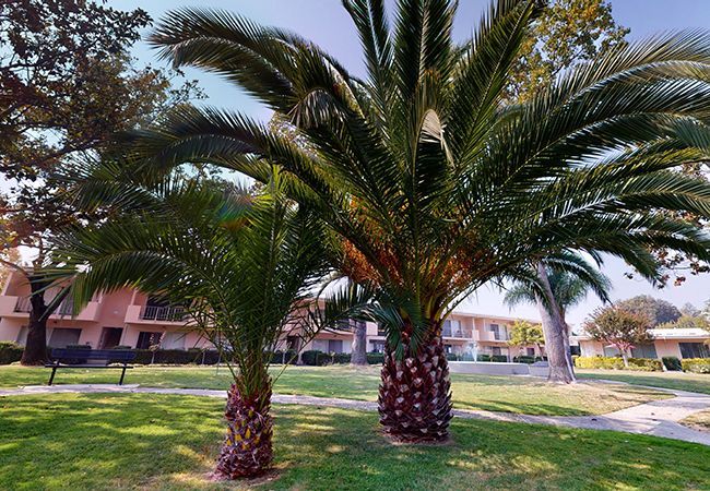 Gardens of Fontainbleu, A Prometheus Neighborhood Image 11