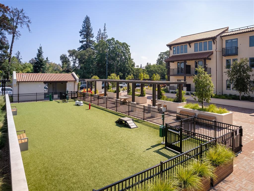 Springline Menlo Park Image 24