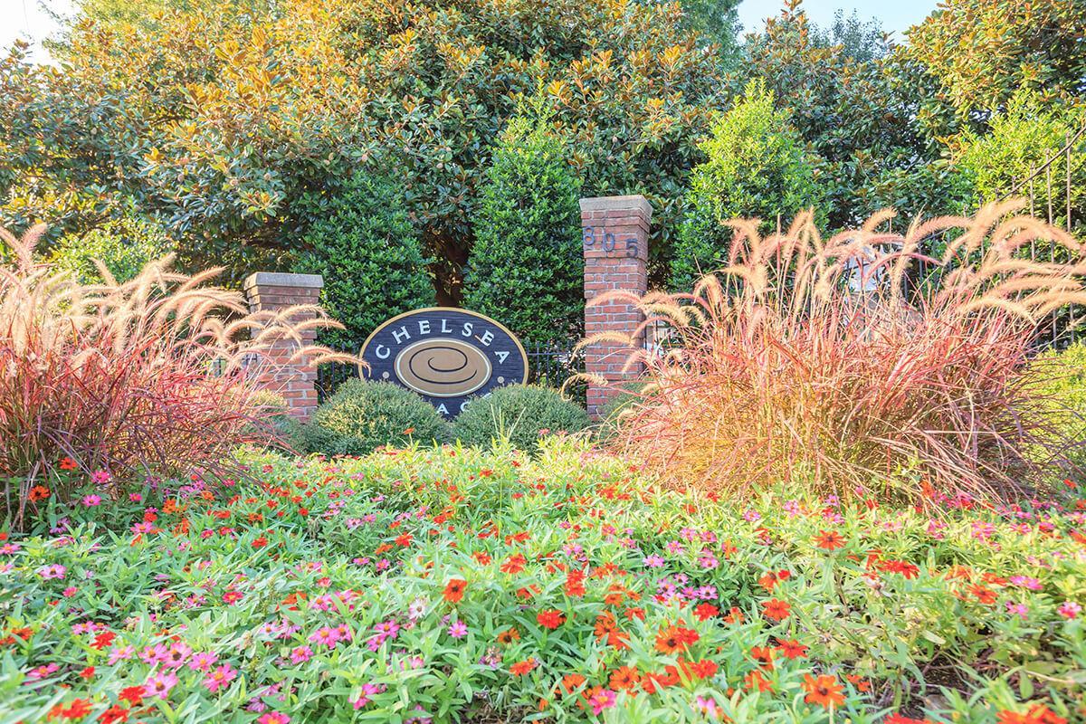Chelsea Place Image 50