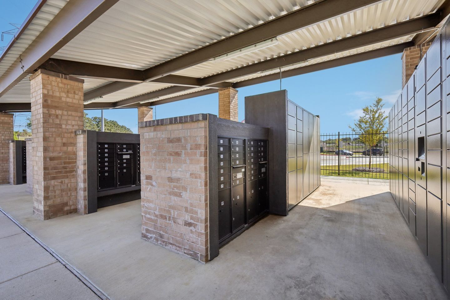 Live Oak Image 32