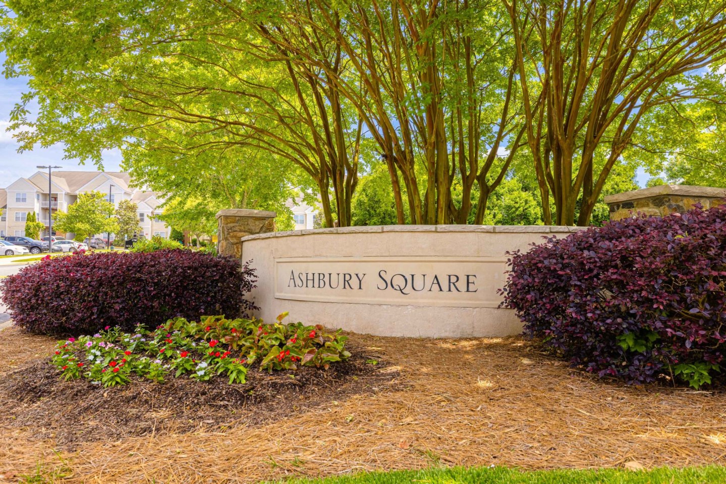 Ashbury Square Image 7
