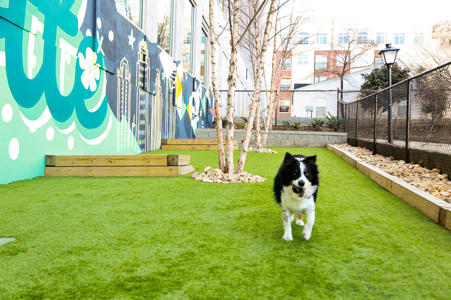 Greenside Image 33