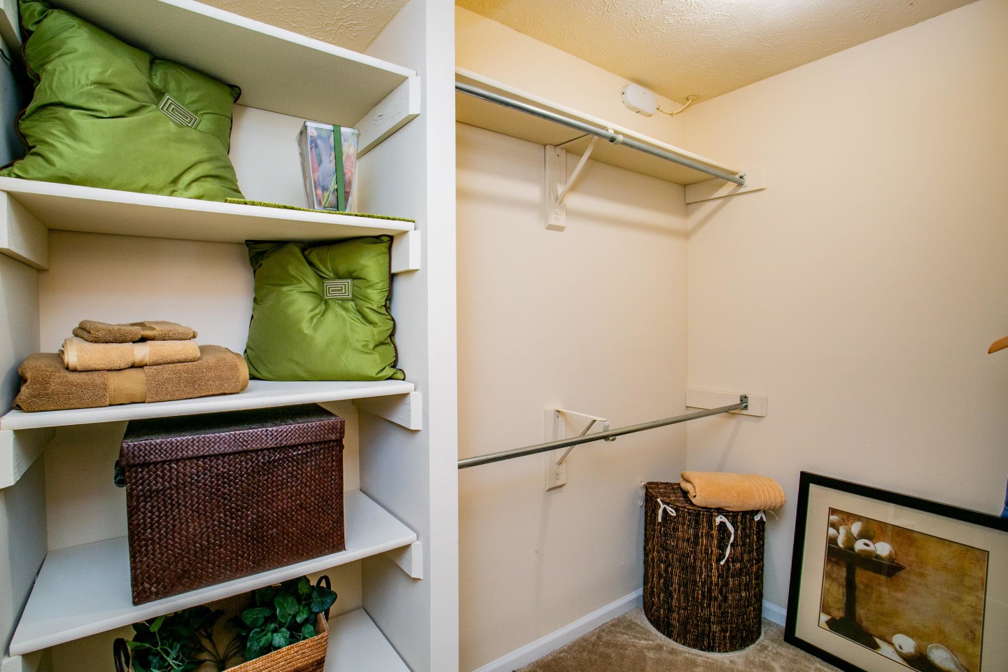 Park Trace Apartments Image 19