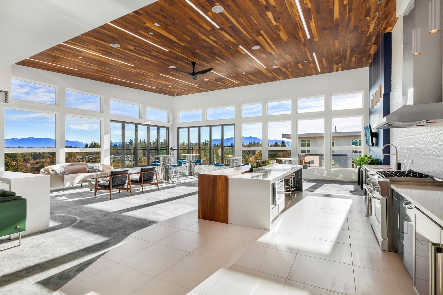 Sky Sammamish Image 25