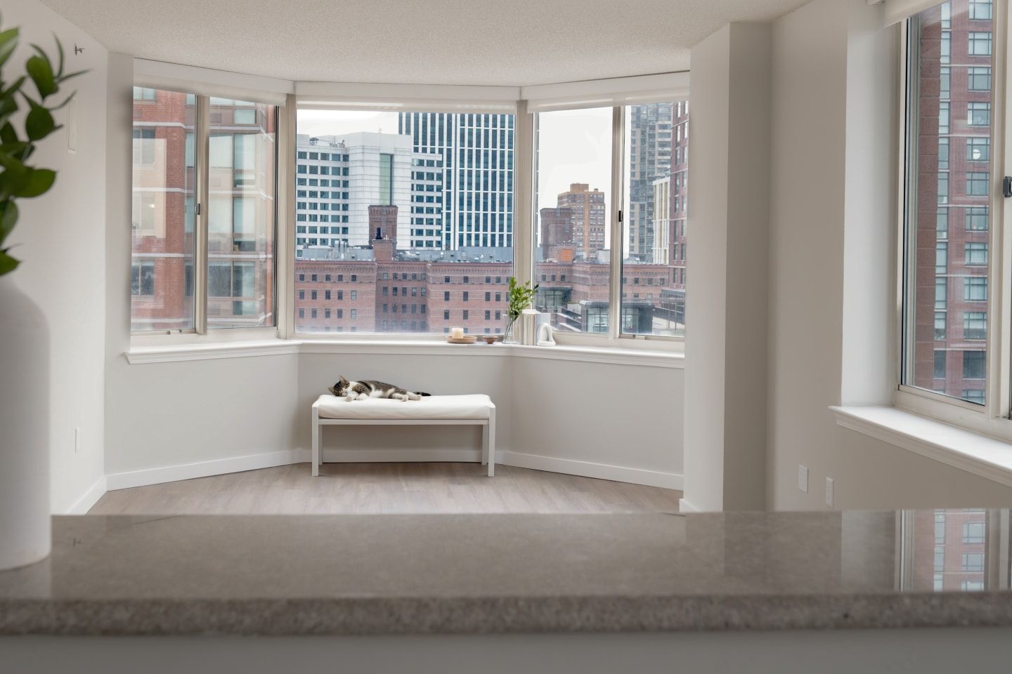 The BLVD Collection Image 38