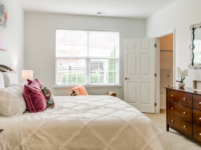Laurel Green Image 17