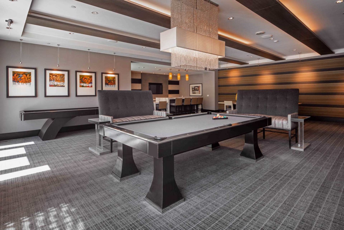 The Avant at Reston Town Center Image 9