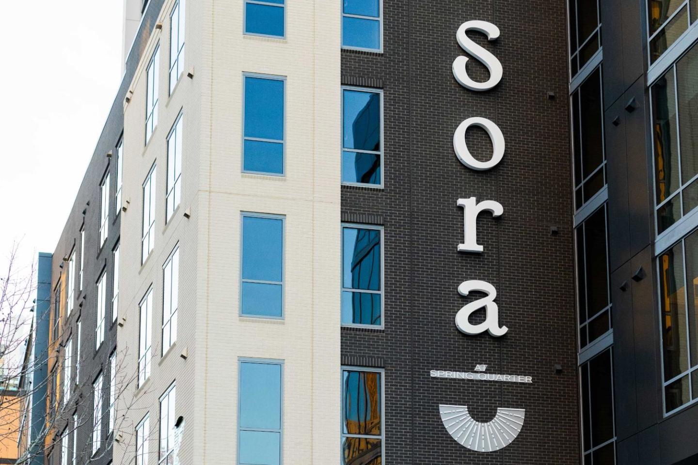 Sora at Spring Quarter Image 63