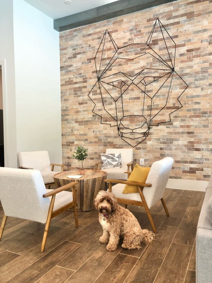 Student Housing - Flagship Carrollton Image 32