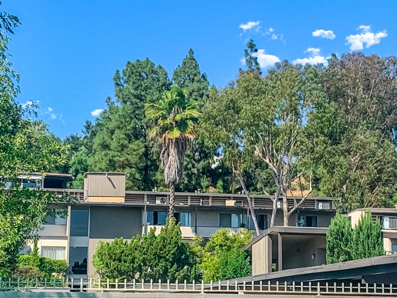Annandale Terrace Image 17