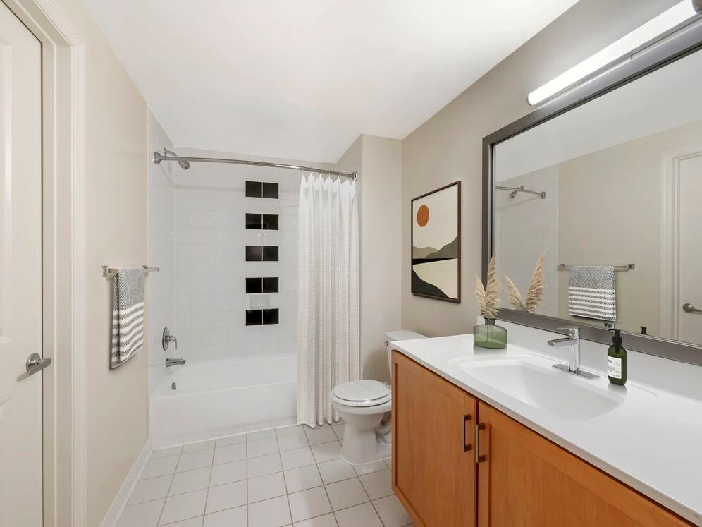 Kanso Silver Spring Image 4