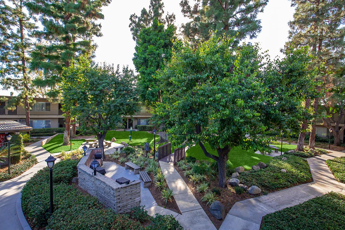 Saddleback Pines Image 13