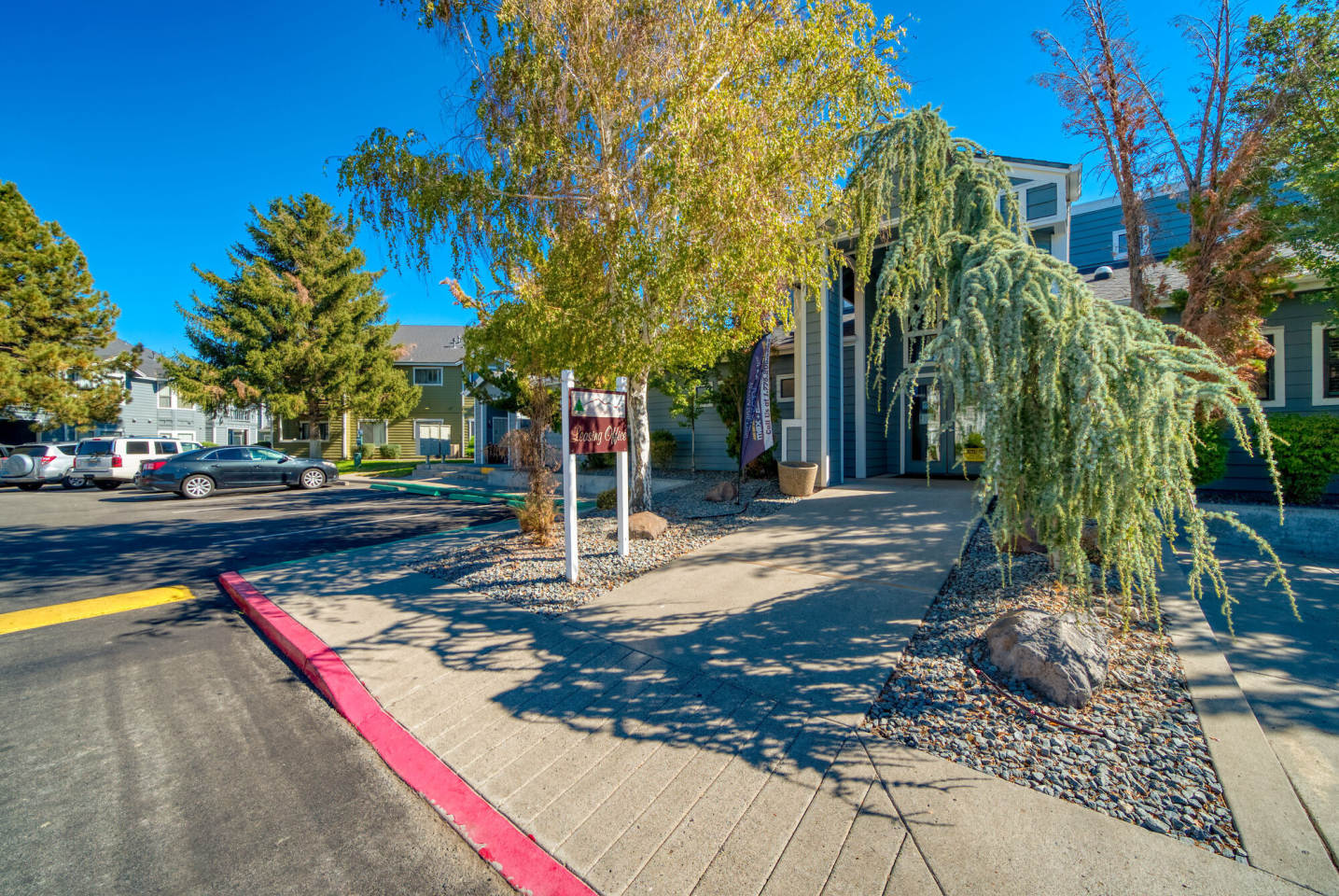 Bristle Pointe Image 2