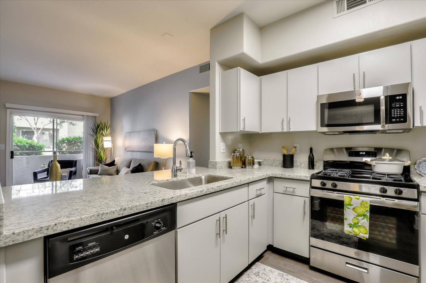 South Valley Ranch Apartments Image 4