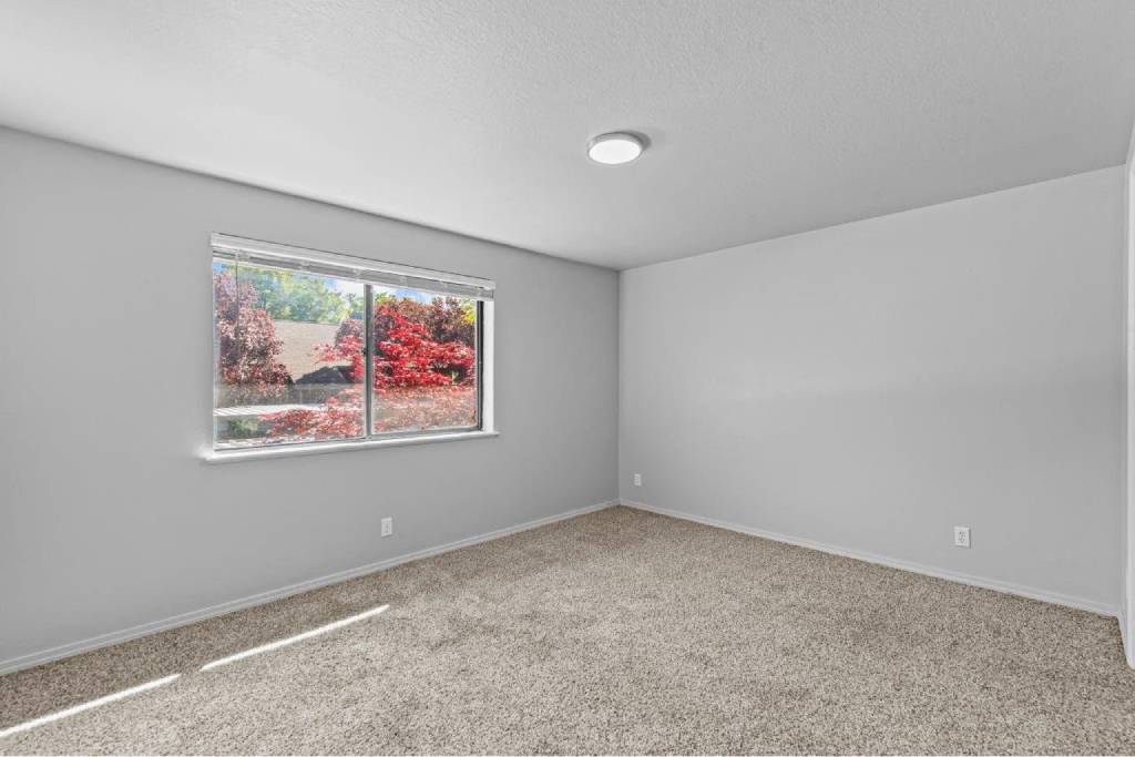 Woodbine Image 12