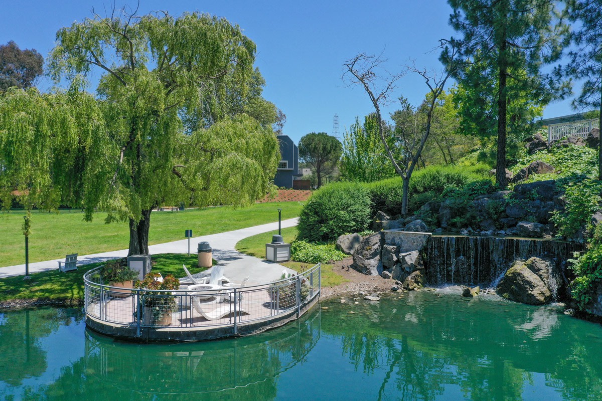 Serenity at Larkspur - Affordable Housing Image 16