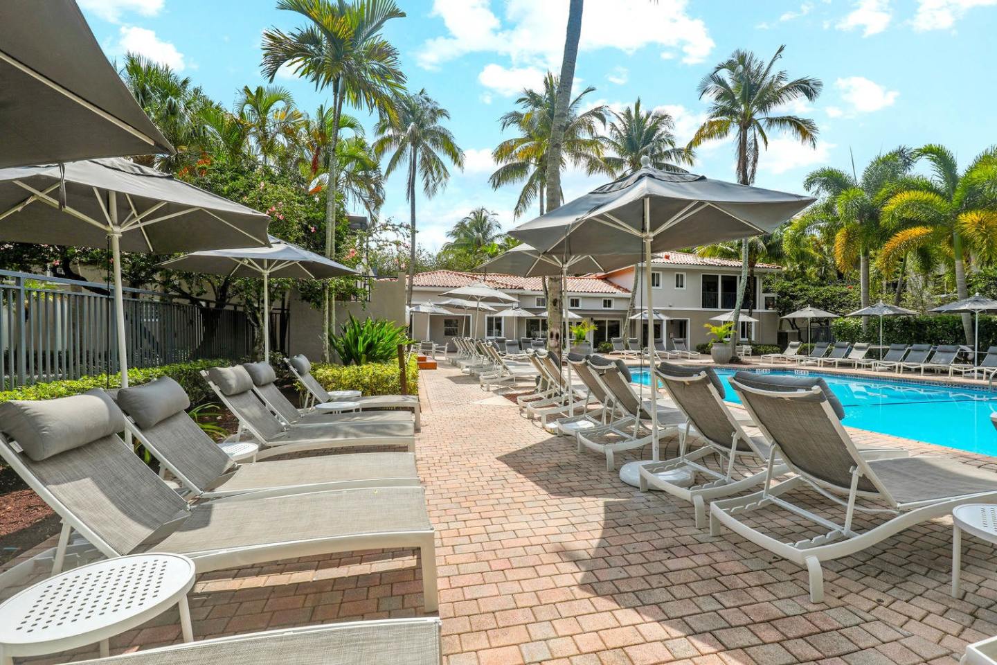 Coconut Palm Club Image 12