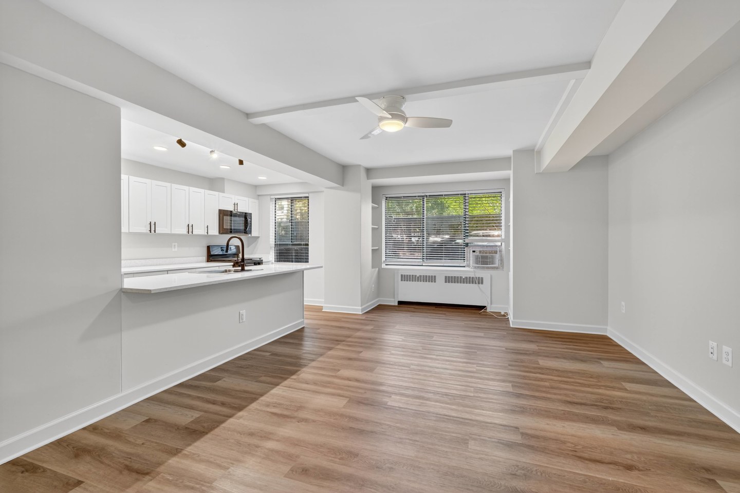 The Chesapeake Image 4