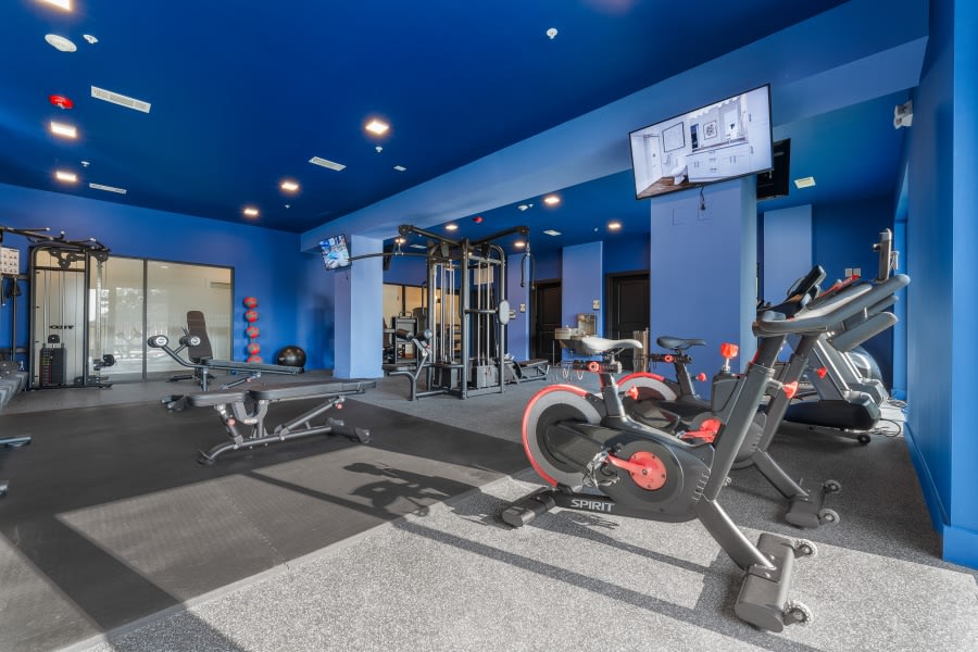 Coda Wedgewood Houston Image 9