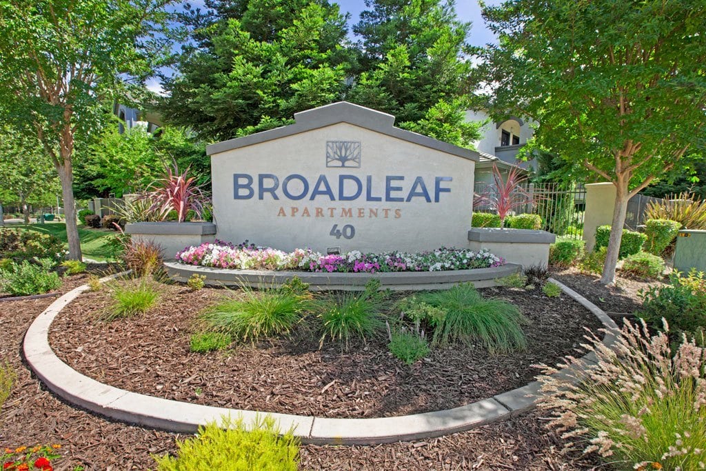 Broadleaf Apartments Image 114