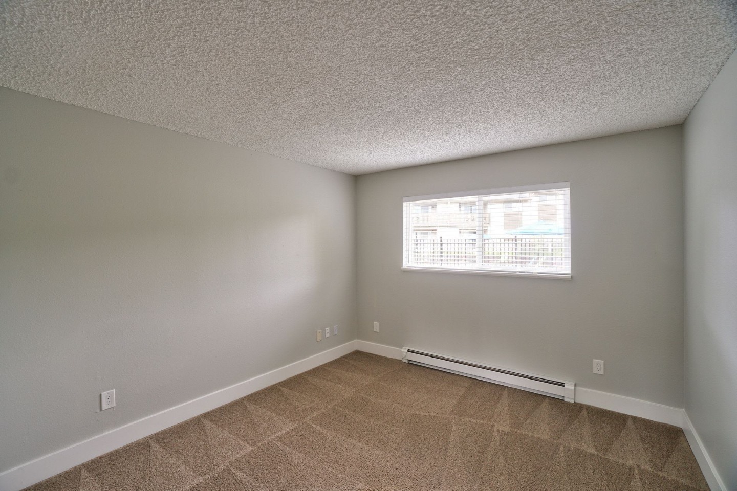 The Zimmer Image 14