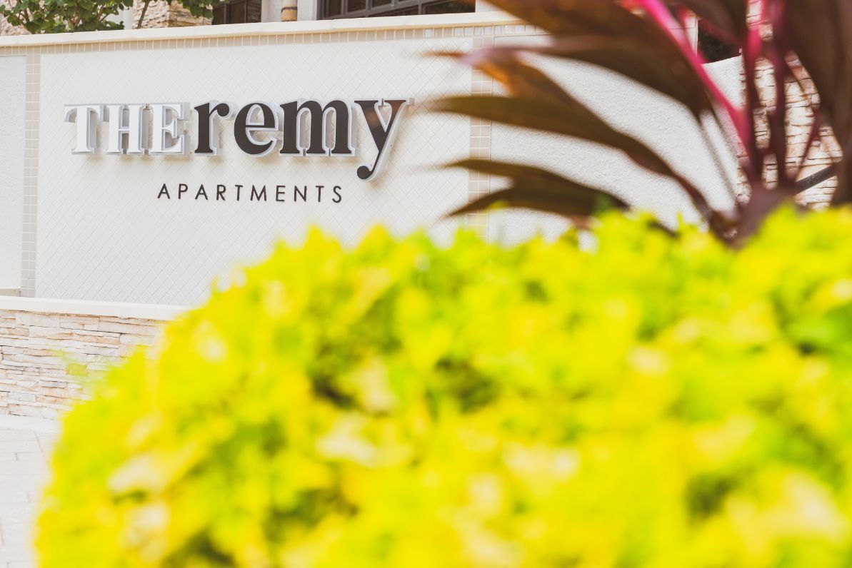 The Remy Apartments Image 1