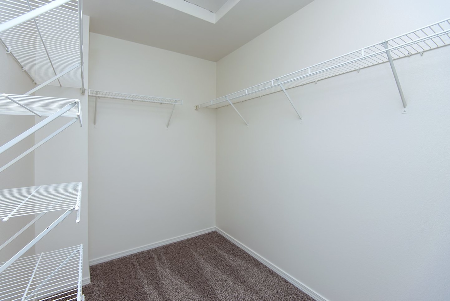 Langara Image 11