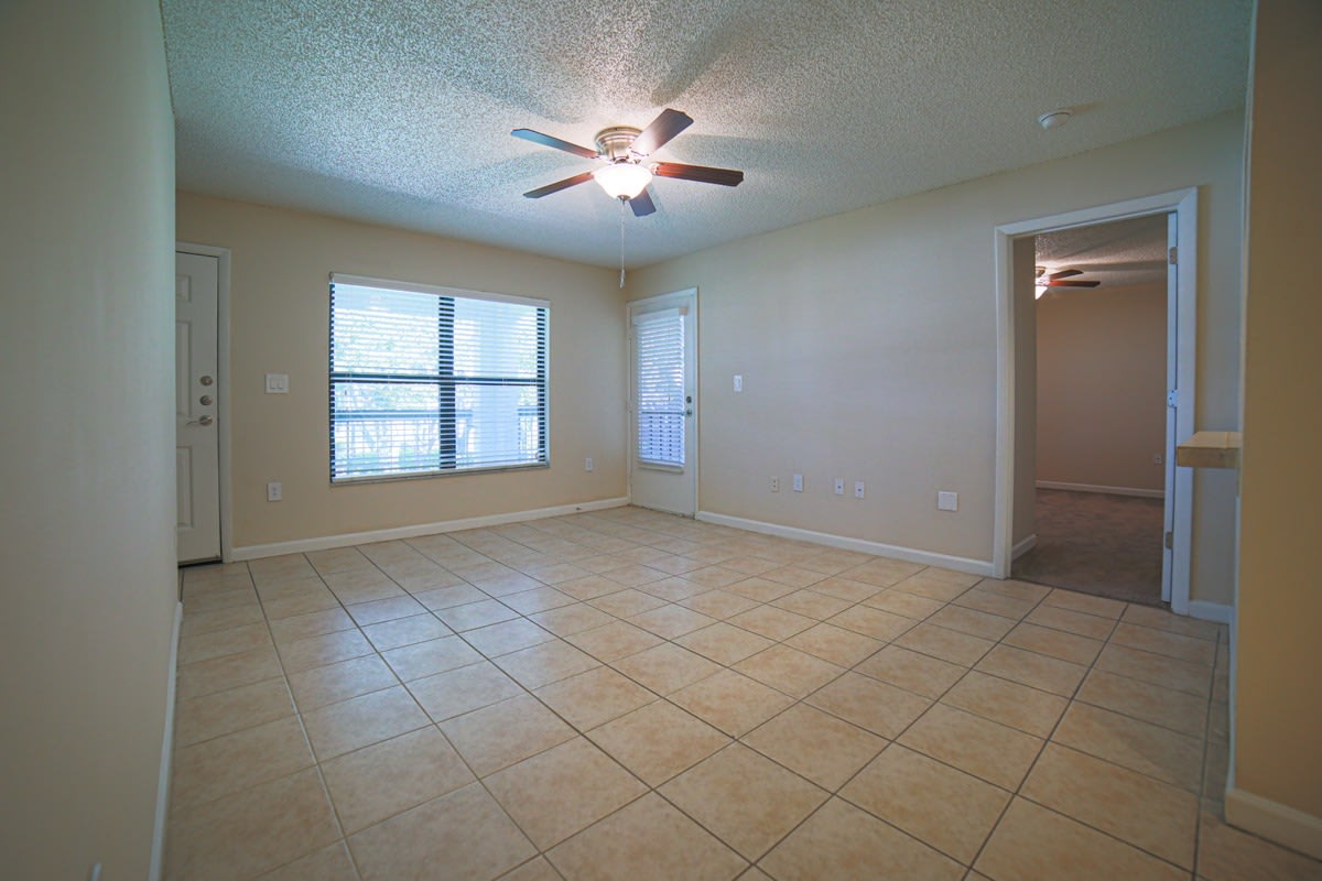Palms of Clearwater Image 32