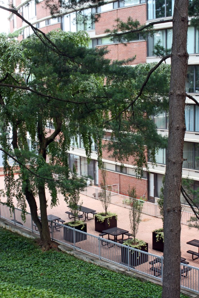 Calvert House Apartments Image 19