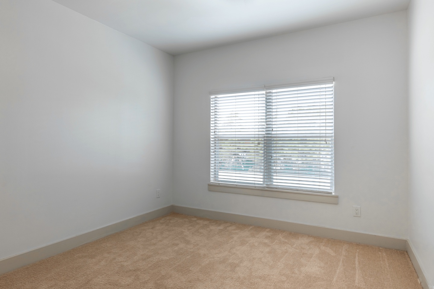 5225 Maple Avenue Image 5