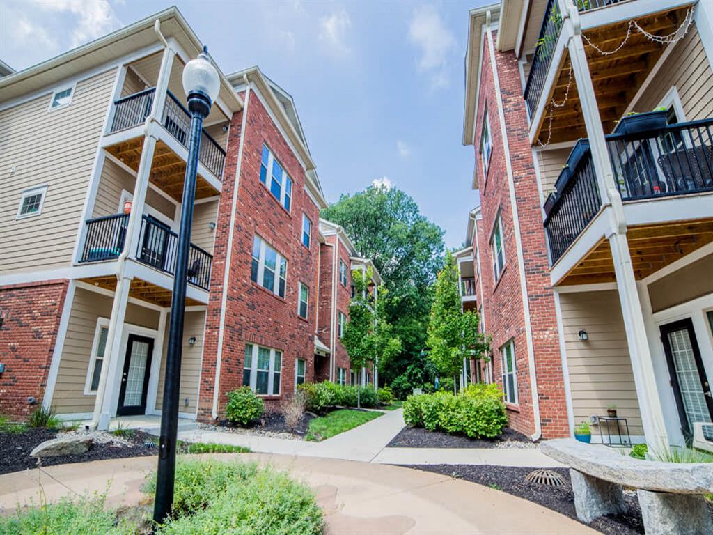 Monon Living Image 45