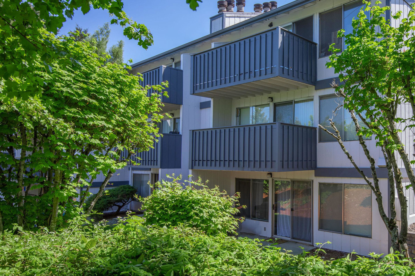 Perla Apartments Image 1