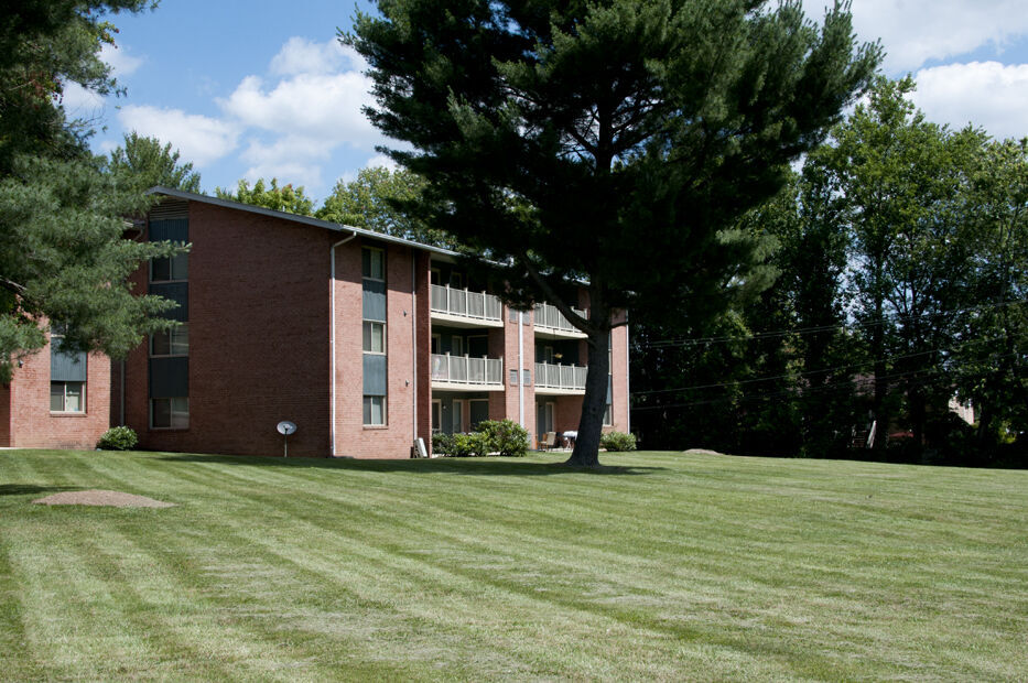 Fox Rest Image 57